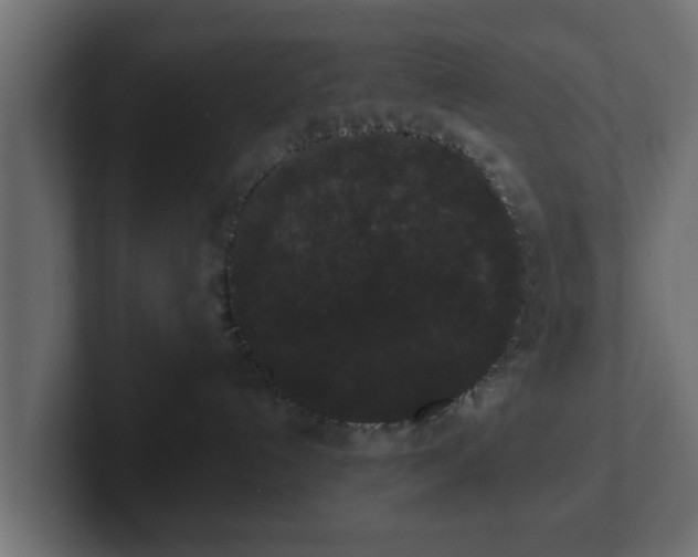 X0000102800192200808251056