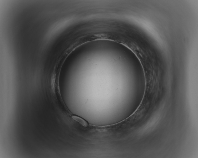 X0000102800194200808251056