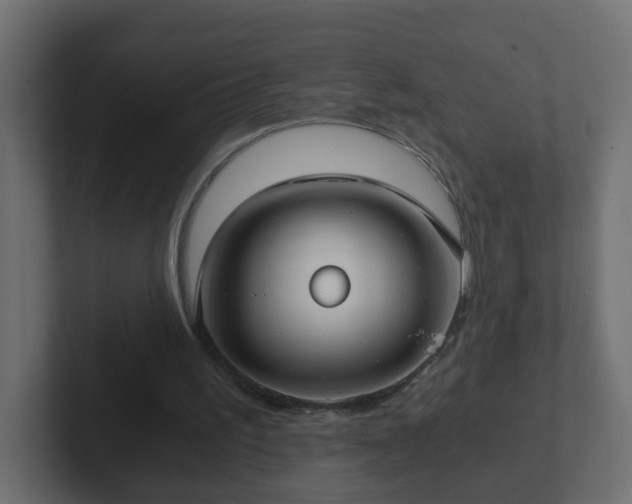 X0000102800195200808251056