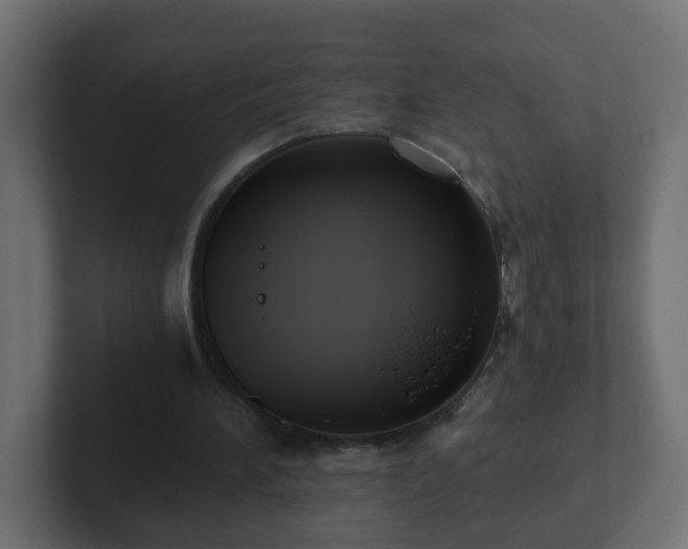 X0000102800196200808251055