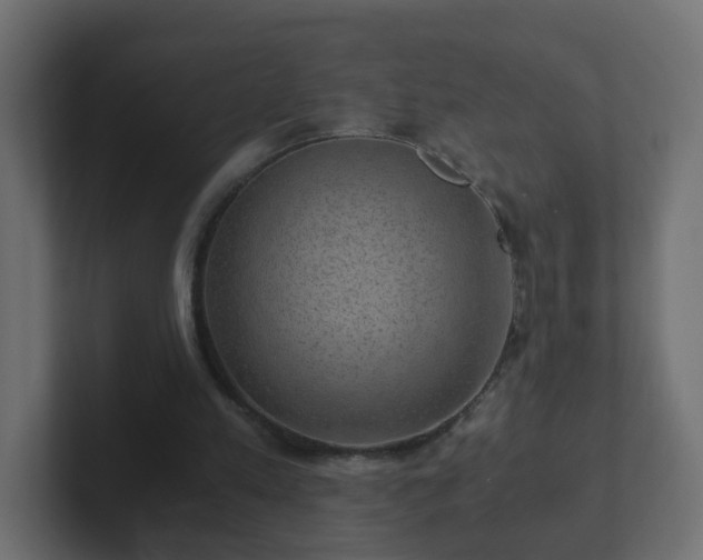 X0000102800197200808251055