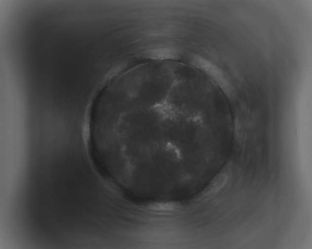 X0000102800202200808251055