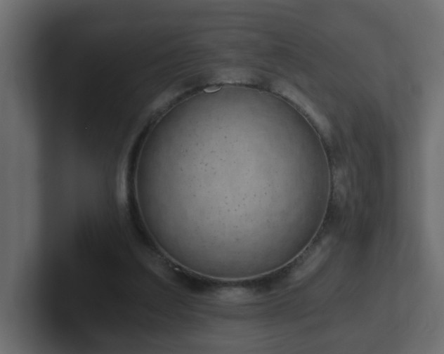 X0000102800203200808251055