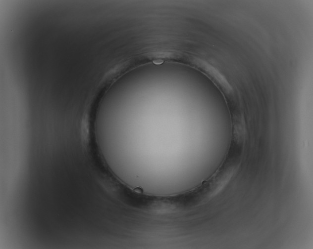 X0000102800207200808251055