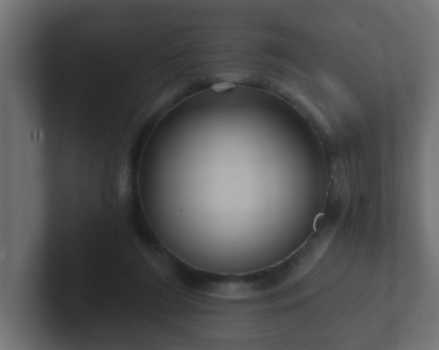 X0000102800212200808251055