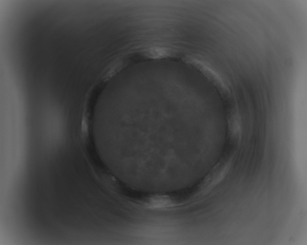 X0000102800214200808251055