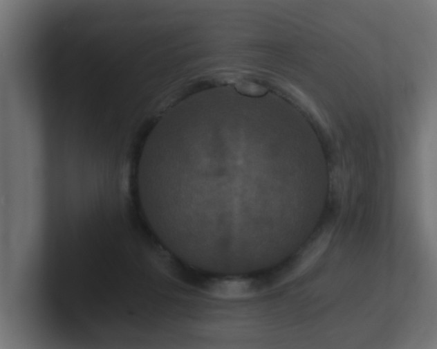 X0000102800217200808251055