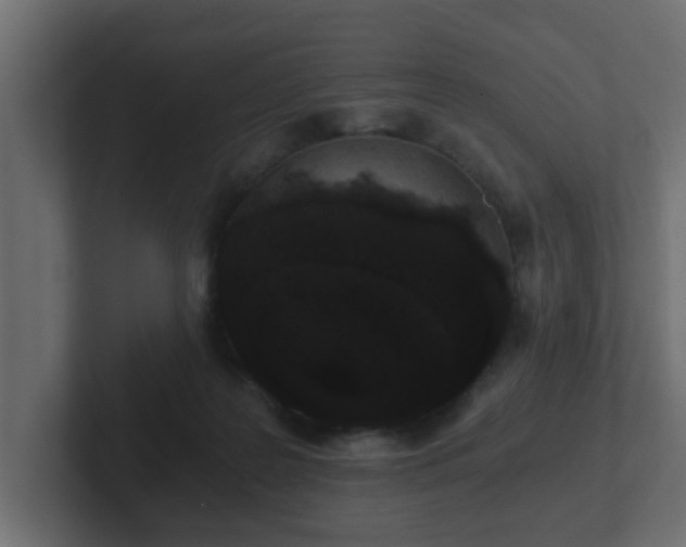 X0000102800219200808251055