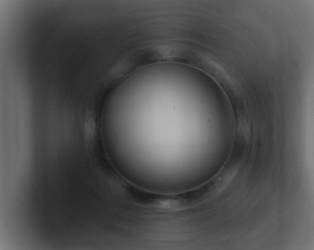 X0000102800220200808251055