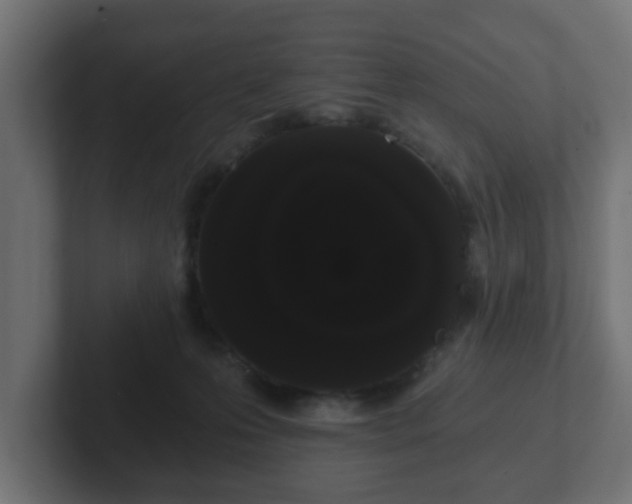 X0000102800223200808251055