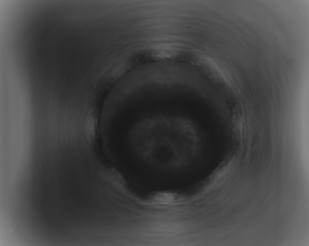 X0000102800227200808251055