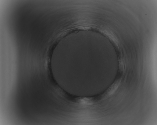 X0000102800229200808251055