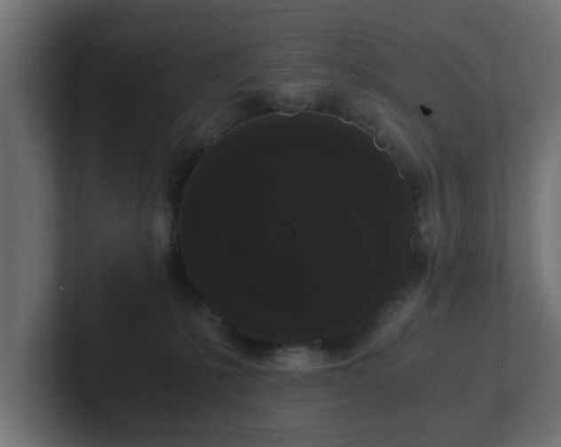 X0000102800231200808251055