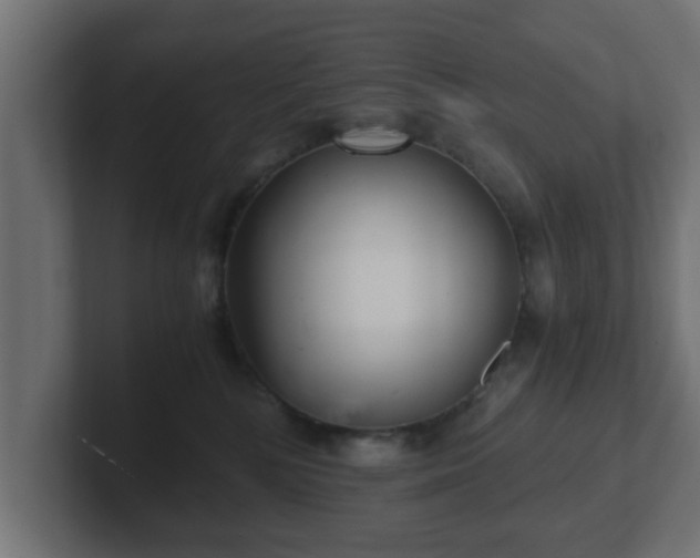 X0000102800232200808251055