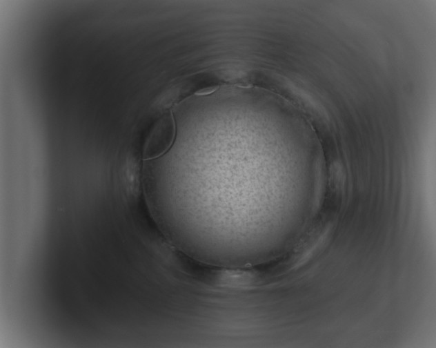 X0000102800234200808251055