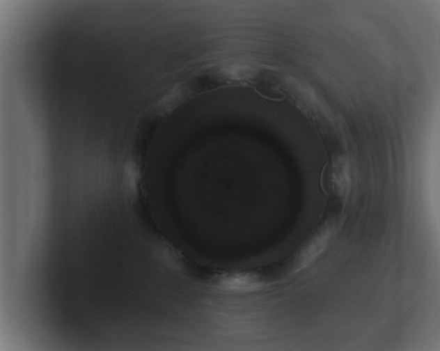 X0000102800235200808251055