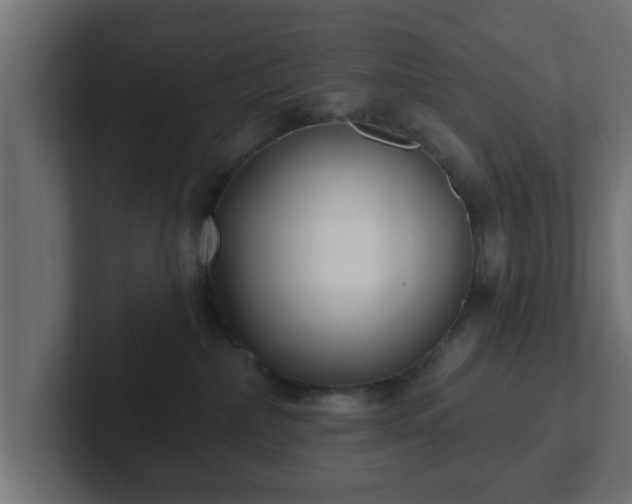 X0000102800236200808251055