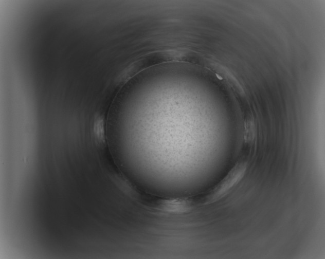 X0000102800238200808251055