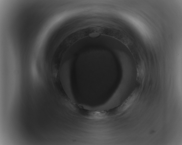 X0000102800239200808251055