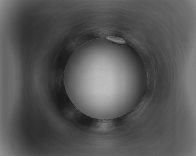 X0000102800240200808251055