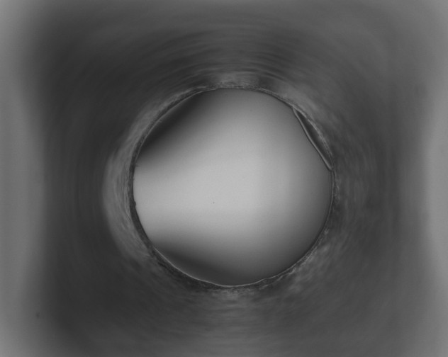 X0000102800241200808251054