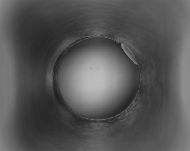 X0000102800242200808251054