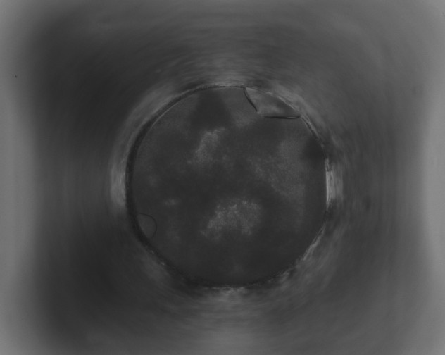 X0000102800243200808251054