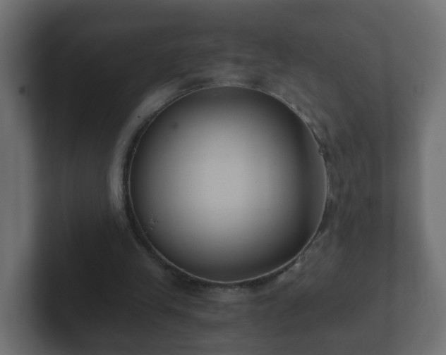 X0000102800245200808251054