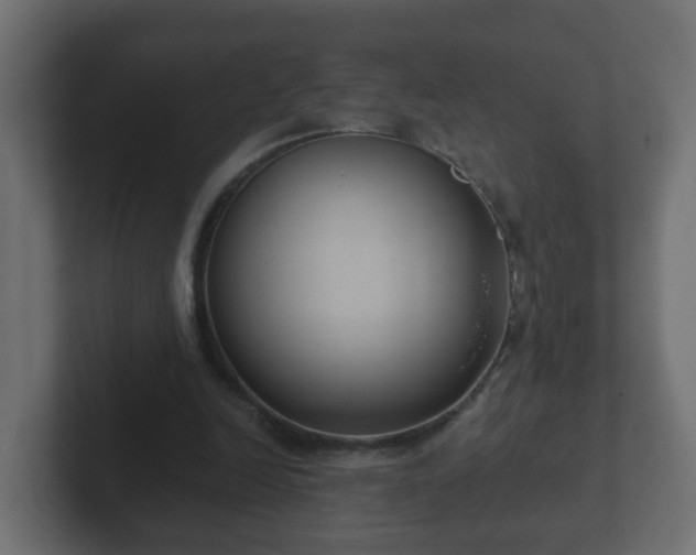 X0000102800246200808251054