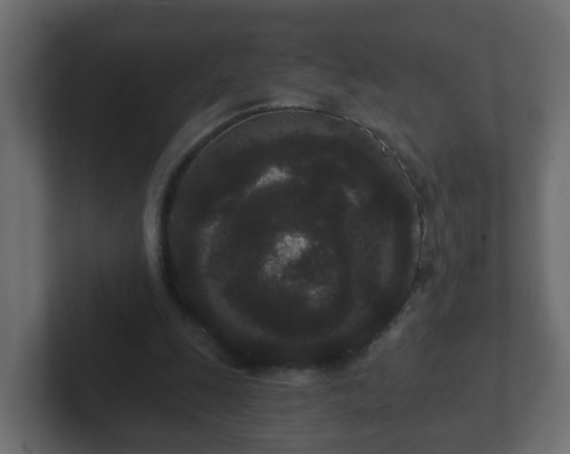 X0000102800247200808251054