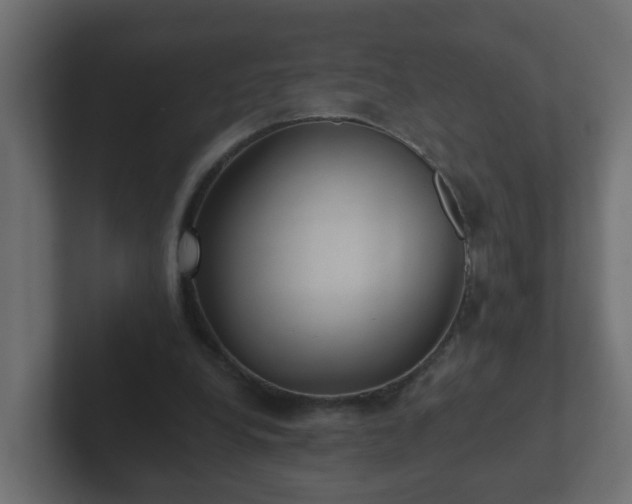 X0000102800248200808251054