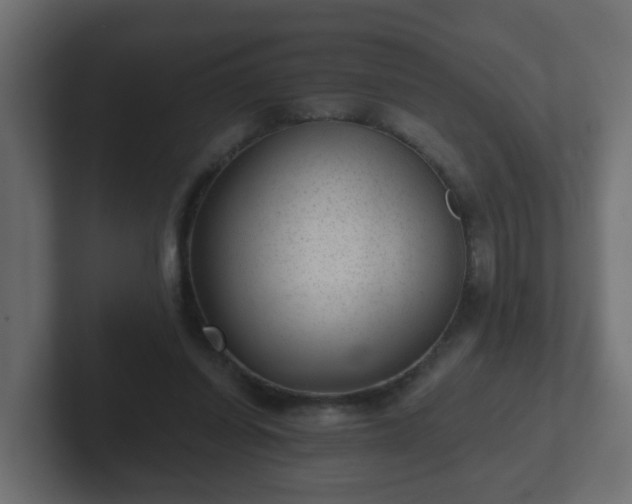 X0000102800254200808251054