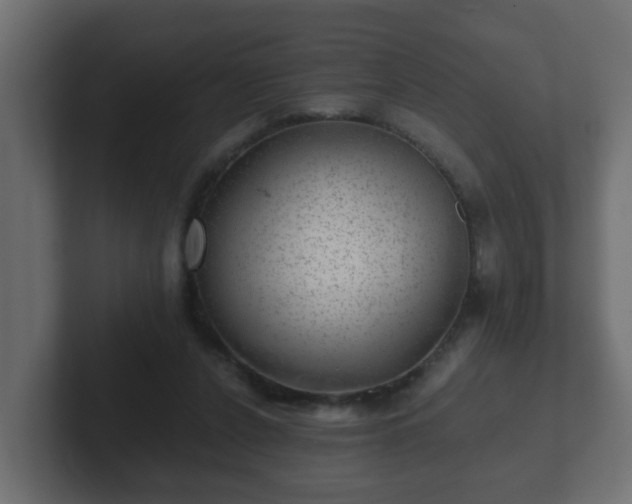 X0000102800256200808251054