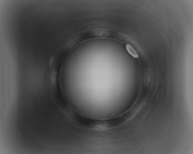 X0000102800263200808251055