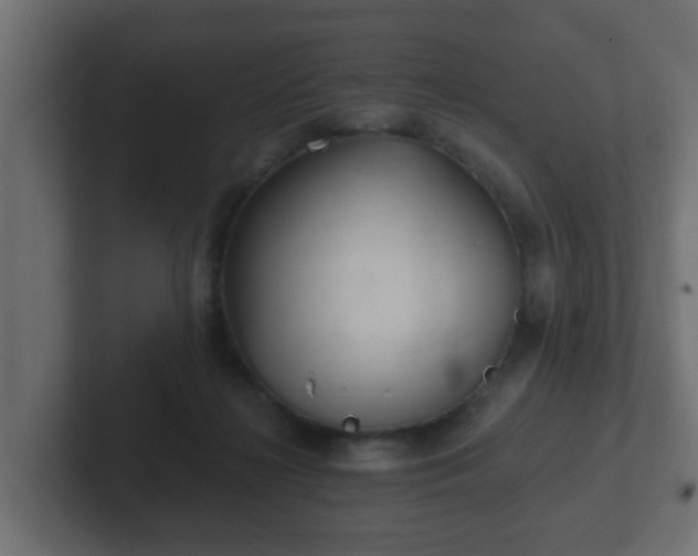 X0000102800268200808251055