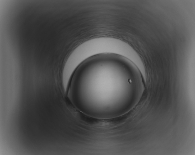 X0000102800276200808251055