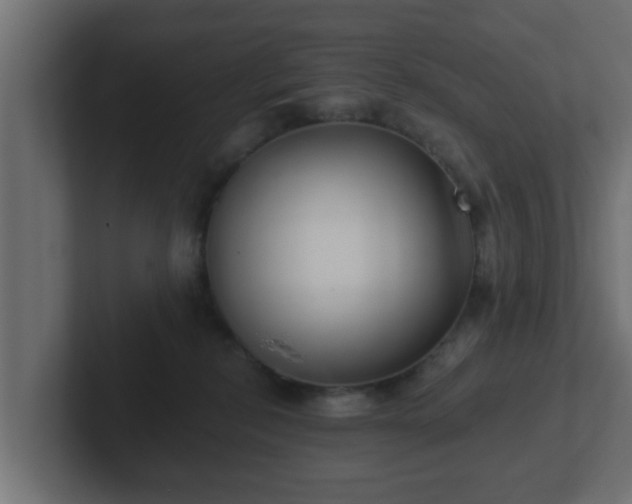 X0000102800278200808251055