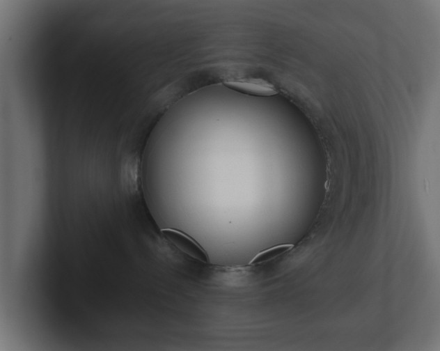 X0000102800288200808251055