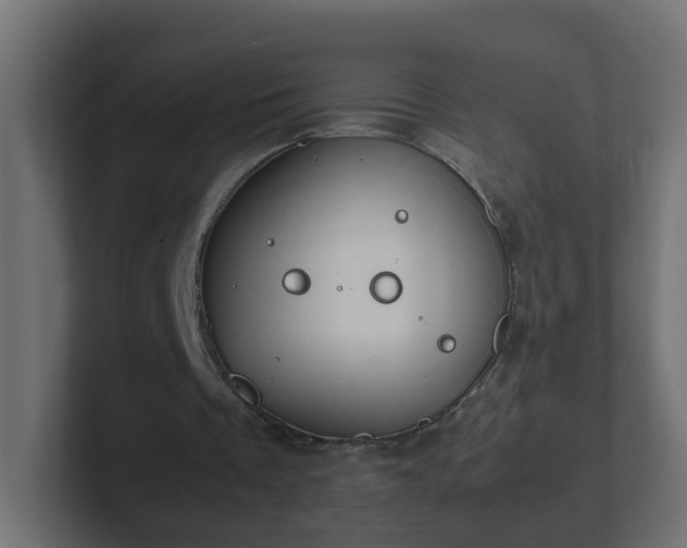 X0000102800289200808251054