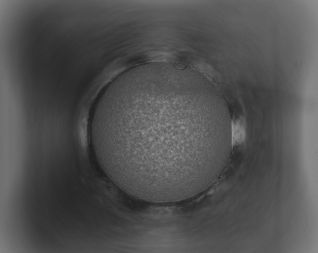 X0000102800291200808251054