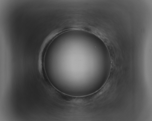 X0000102800294200808251054