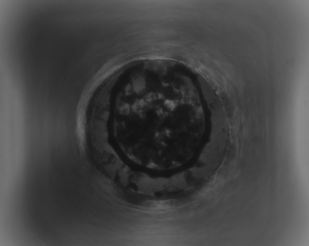 X0000102800295200808251054