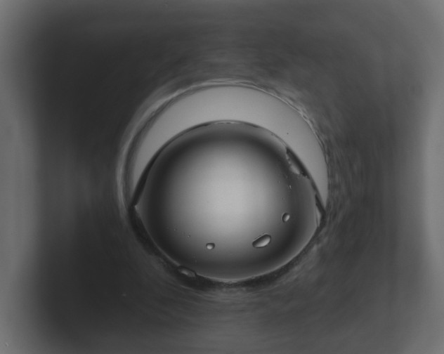 X0000102800296200808251054