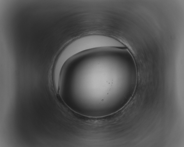 X0000102800297200808251054