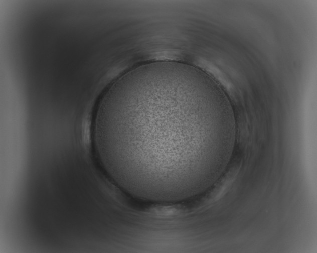 X0000102800299200808251054