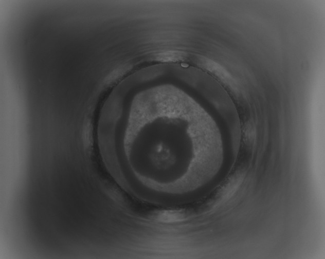 X0000102800303200808251054