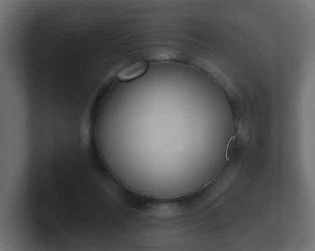 X0000102800304200808251054