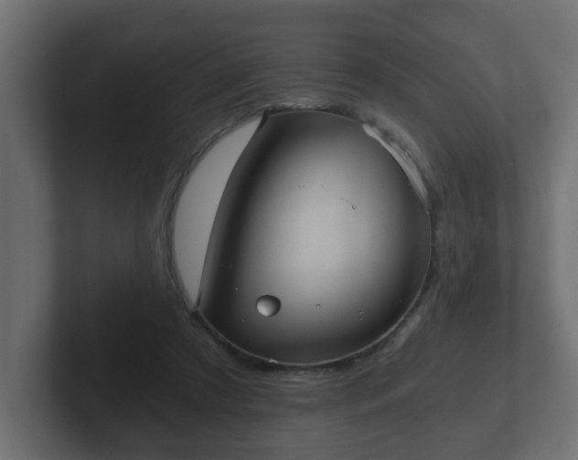 X0000102800305200808251054