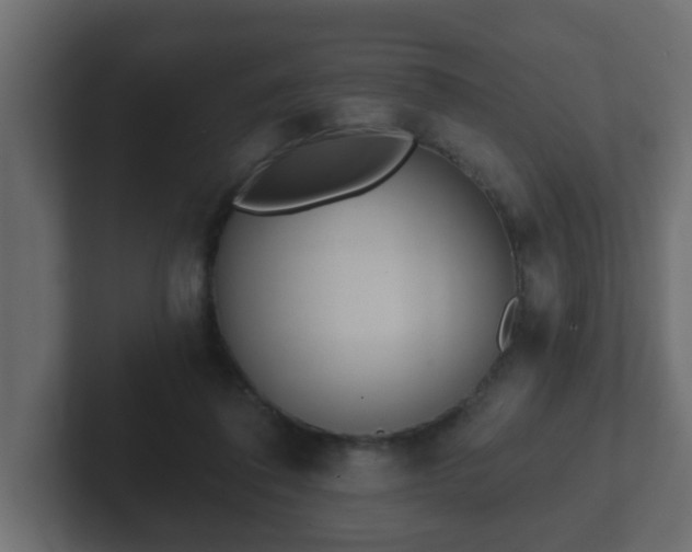 X0000102800308200808251054