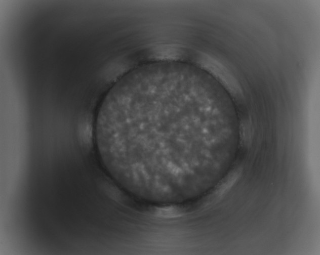 X0000102800309200808251054